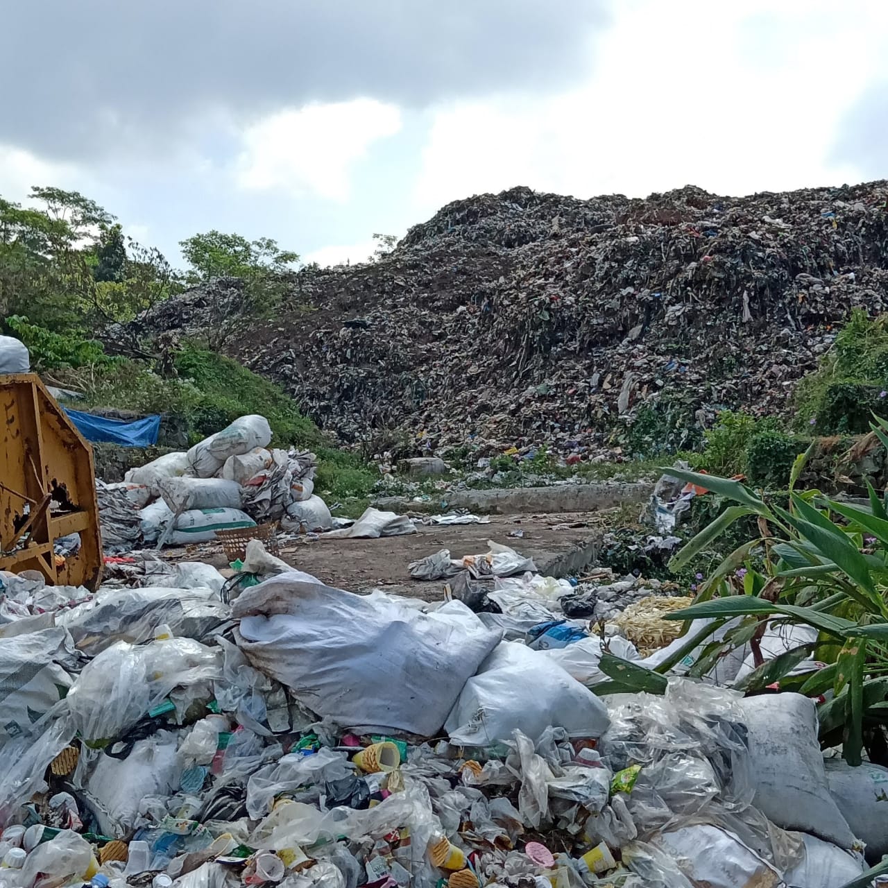 30dc109b-6c44-494f-9488-337a83be0a0a