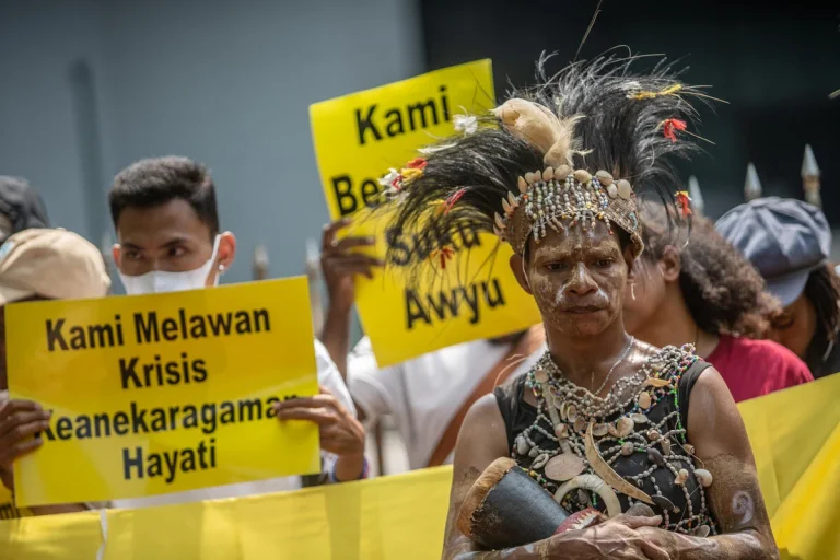 suku awyu dan suku moi