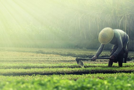 920ec0c507407ed8f993dcfe695a5ac9