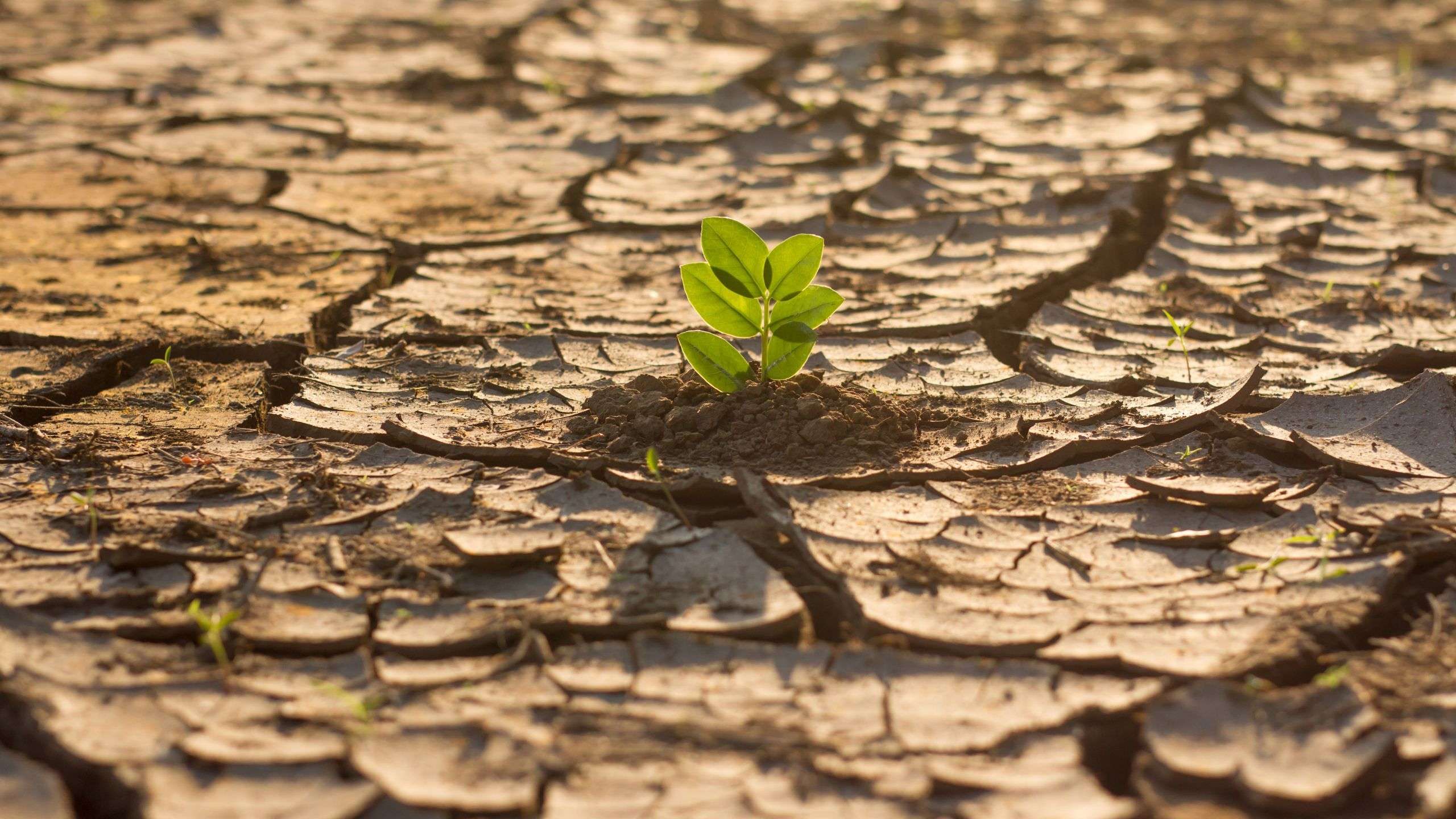 alam dan spiritualitas