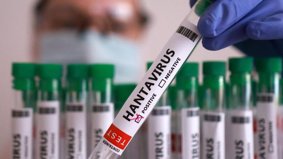 hantavirus