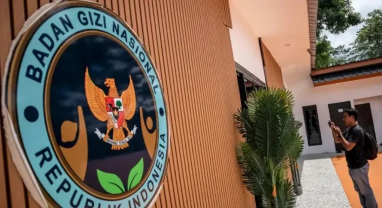 badan gizi nasional
