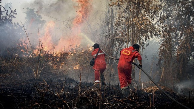kebakaran hutan dan lahan