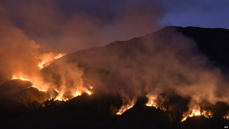 kebakaran kawasan bromo